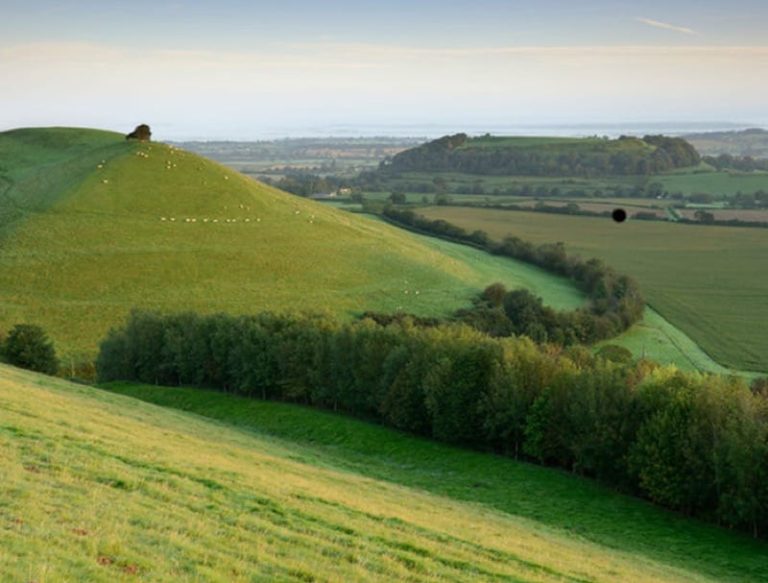 Cadbury Castle and Parrock Hill