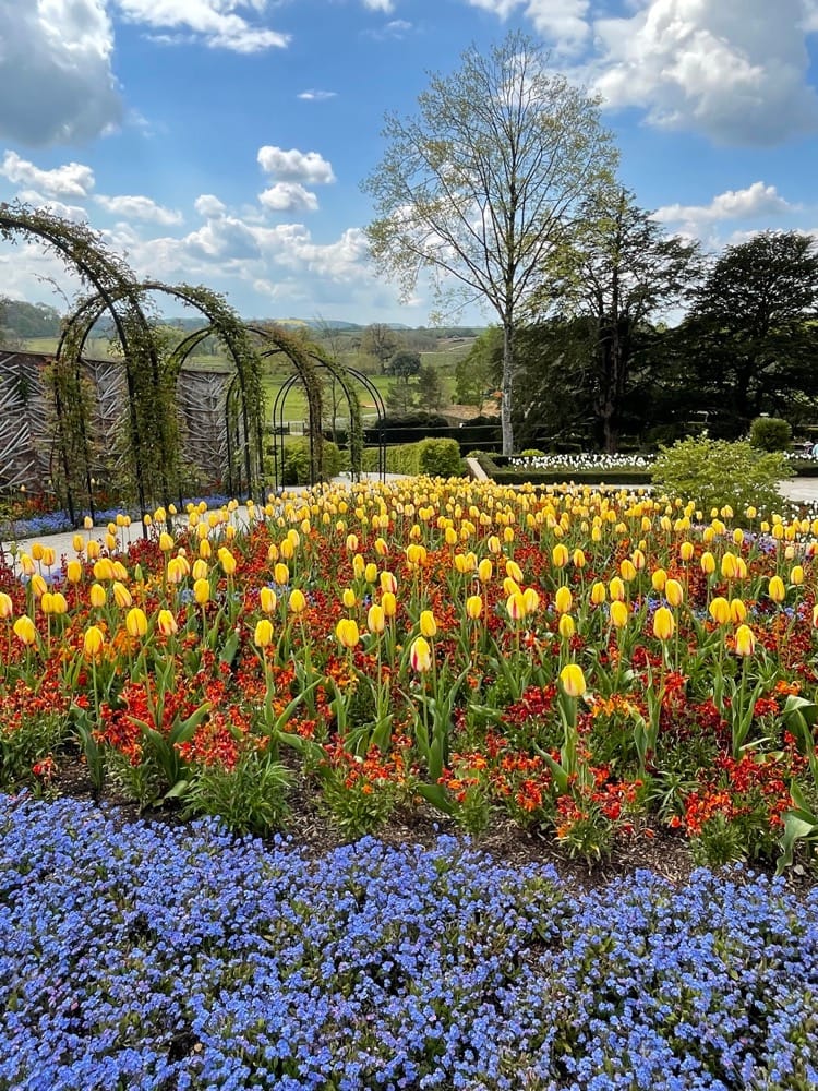 The Newt Somerset Flowers